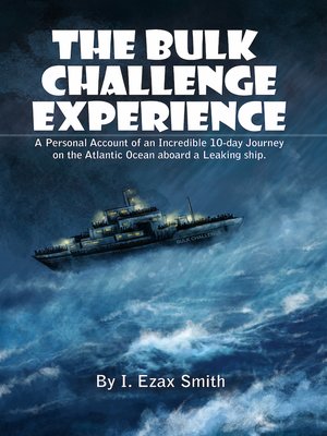 cover image of The Bulk Challenge Experience